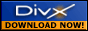 Download DivX