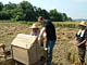 Johan as farmer July 05